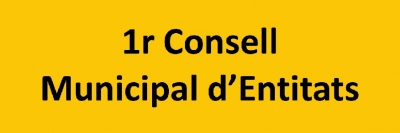 1r Consell Municipal d'Entitats